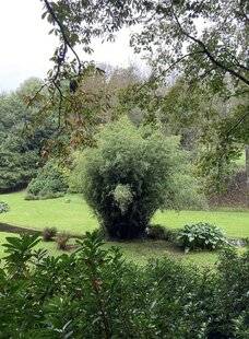 Mon Jardin & Ma Maison 776 DANS LE CREUX DU VALLON