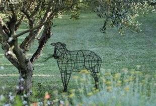 Mon Jardin & Ma Maison 776 Objet de désir