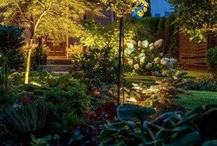 Mon Jardin & Ma Maison 776 Jouez avec la lumière