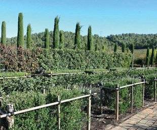 Mon Jardin & Ma Maison 776 Campez les limites