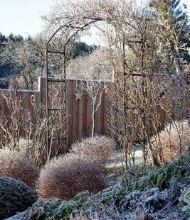 Mon Jardin & Ma Maison 776 Nos conseils NOV/DÉC - Plantez, entretenez, soignez, récoltez…