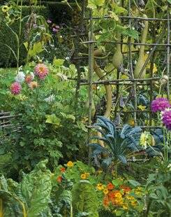 Mon Jardin & Ma Maison 780 LE JARDIN DEUX EN UN, POTAGER ET DÉCORATIF