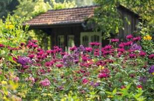 Mon Jardin & Ma Maison 780 UN MASSIF COMESTIBLE, POURQUOI PAS ?