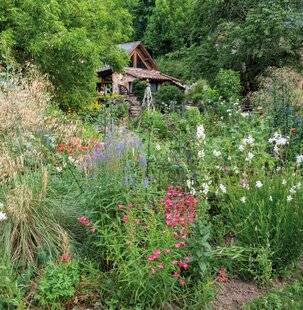 Mon Jardin & Ma Maison 780 LA BEAUTÉ SAUVAGE DU JARDIN DES AMIS
