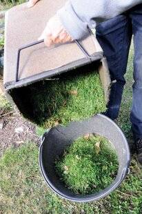 Mon Jardin & Ma Maison 780 Recyclez les tontes