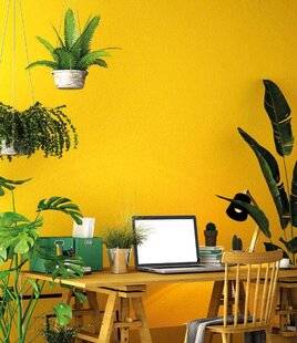 Mon Jardin & Ma Maison 780 Ondes et plantes