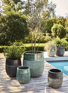 Mon Jardin & Ma Maison 781 IMPRESSIONS D'AILLEURS
