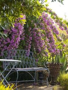 Mon Jardin & Ma Maison 781 UNE BULLE HORS DU TEMPS