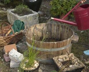 Mon Jardin & Ma Maison 781 Un peu d'eau, beaucoup de vie