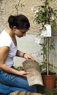 Mon Jardin & Ma Maison 782 Et la tuile ?
