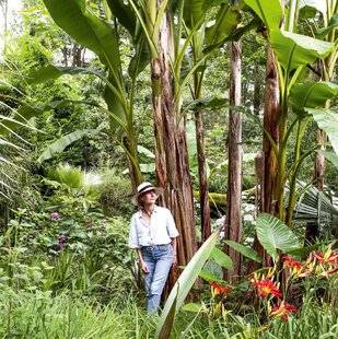 Mon Jardin & Ma Maison 783 LUXURIANCE LANDAISE