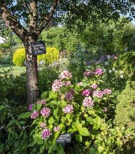 Mon Jardin & Ma Maison 783 ENCHANTEMENT BINATIONAL