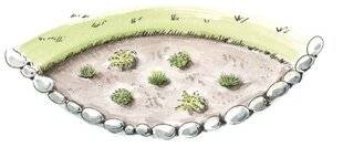 Mon Jardin & Ma Maison 783 Quelles plantes pour r emplacer le gazon ?