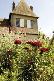 Mon Jardin & Ma Maison 784 MAISON D'ARTISTE