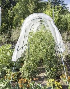 Mon Jardin & Ma Maison 784 Protégez les tomates