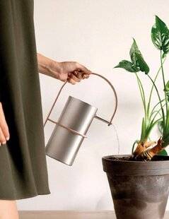 Mon Jardin & Ma Maison 785 DESIGN DE DEMAIN