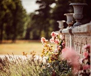 Mon Jardin & Ma Maison 785 LA CLÉ DES CHAMPS