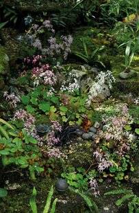 Mon Jardin & Ma Maison 785 UN ÉCRIN DE VERDURE AUX MULTIPLES FACETTES