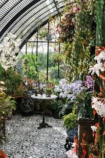 Mon Jardin & Ma Maison 785 LE SOL SE PIQUE DE CARREAUX