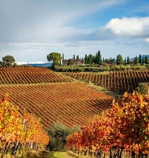 Mon Jardin & Ma Maison 785 CUEILLETTE D'AUTOMNE