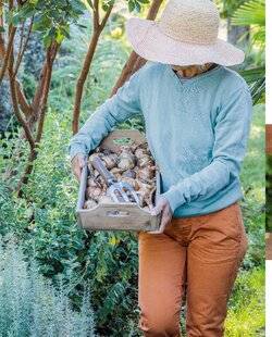 Mon Jardin & Ma Maison 785 C'EST LA SAISON DES BULBES DE PRINTEMPS !