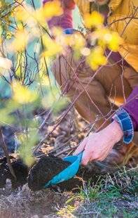 Mon Jardin & Ma Maison 785 UN PEU D'ENGRAIS, BEAUCOUP D'AIDE