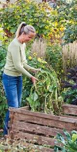 Mon Jardin & Ma Maison 785 CLAP DE FIN POUR LES COURGES