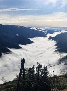 Mon Jardin & Ma Maison 787 L'ARBORETUM DES 4 SAISONS