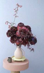 Mon Jardin & Ma Maison 787 L'HORTENSIA, ROI DE LA FÊTE