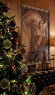 Mon Jardin & Ma Maison 787 OFFRIR