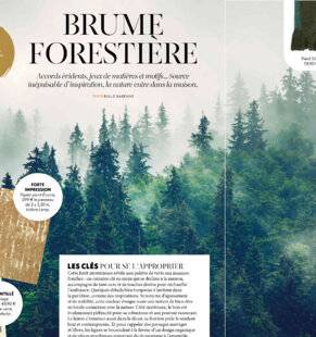 Mon Jardin & Ma Maison 787 BRUME FORESTIÈRE