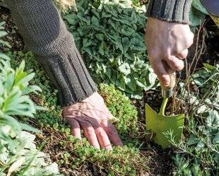 Mon Jardin & Ma Maison 787 LES COUVRE-SOLS C'EST AUSSI EN HIVER