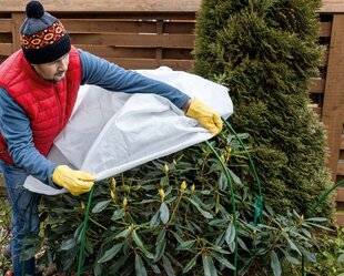 Mon Jardin & Ma Maison 787 PROTECTION : LES ARBUSTES AUSSI !