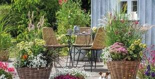 Mon Jardin & Ma Maison 787 APRÈS AVOIR EU UN GRAND JARDIN, JE M'INSTALLE DANS UN APPARTEMENT AVEC DEUX TERRASSES. J'AIMERAIS Y RECRÉER UN COIN DE VERDURE VIVANT, MAIS ENTRE LE VENT, L'ARROSAGE ET LE POIDS DES CONTENANTS, JE ME SENS UN PEU PERDUE. POURQUOI NE PAS CONSACRER DAVANTAGE D'ARTICLES AUX TERRASSES ET BALCONS ?