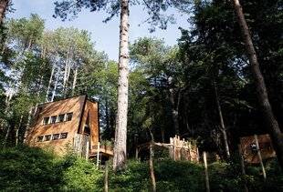 Mon Jardin & Ma Maison 788 BAIN DE FORÊT