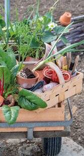 Mon Jardin & Ma Maison 788 POUR LES ROSIERS, C'EST L'HEURE