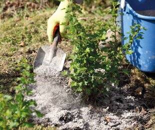 Mon Jardin & Ma Maison 788 LE TEMPS DES CENDRES