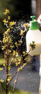 Mon Jardin & Ma Maison 788 LE SOUFRE, POUR NE PLUS QU'ILS SOUFFRENT