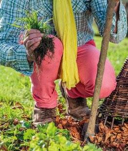 Mon Jardin & Ma Maison 788 ROUTINE BEAUTÉ