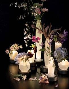 Mon Jardin & Ma Maison 788 ART DÉCO