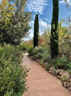 Mon Jardin & Ma Maison 788 UN JARDIN À LA ROMAINE