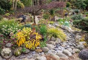 Mon Jardin & Ma Maison 788 DE FANTAISIES EN COULEURS D'HIVER