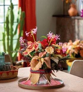 Mon Jardin & Ma Maison 789 EN MARS