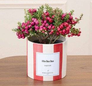 Mon Jardin & Ma Maison 789 EN LIVRAISON