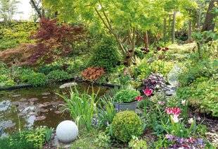 Mon Jardin & Ma Maison 789 L'ESTHÉTIQUE DANS LA DENSITÉ