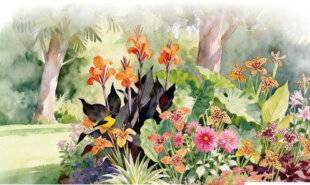 Mon Jardin & Ma Maison 789 MASSIF EXOTIQUE