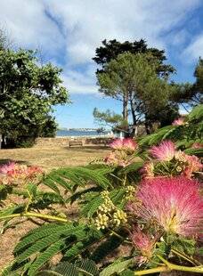 Mon Jardin & Ma Maison 789 LES JARDINS RETROUVÉS