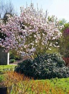 Mon Jardin & Ma Maison 789 UN PRINTEMPS SOURIANT