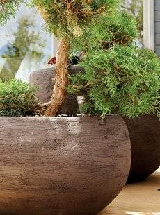 Mon Jardin & Ma Maison 789 LA PUISSANCE DE LA TERRE