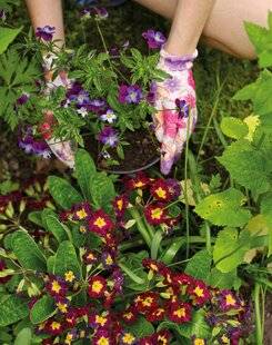 Mon Jardin & Ma Maison 789 DES FLEURS, ET EN VITESSE !